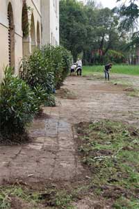 Campo di lavoro, immagine 3