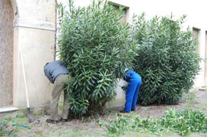 Campo di lavoro, immagine 6