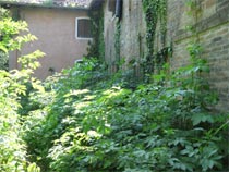 La Villa prima degli iinterventi