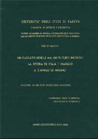 Tesi di laura di Sara Silvestrini